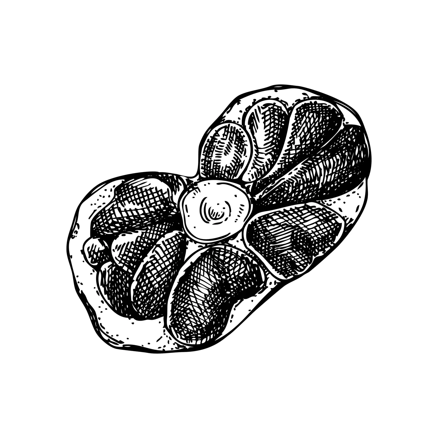 Vector raw oxtail with meat sketch. Hand drawn tail of cattle isolated on white background. Engraved food illustration for butchery, recipes, menu in vintage style.  Illustration